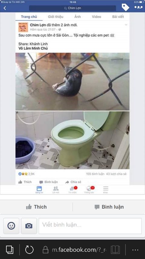 RIS.jpg