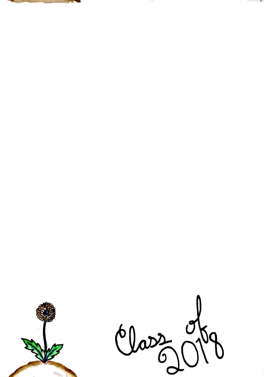 2018.png
