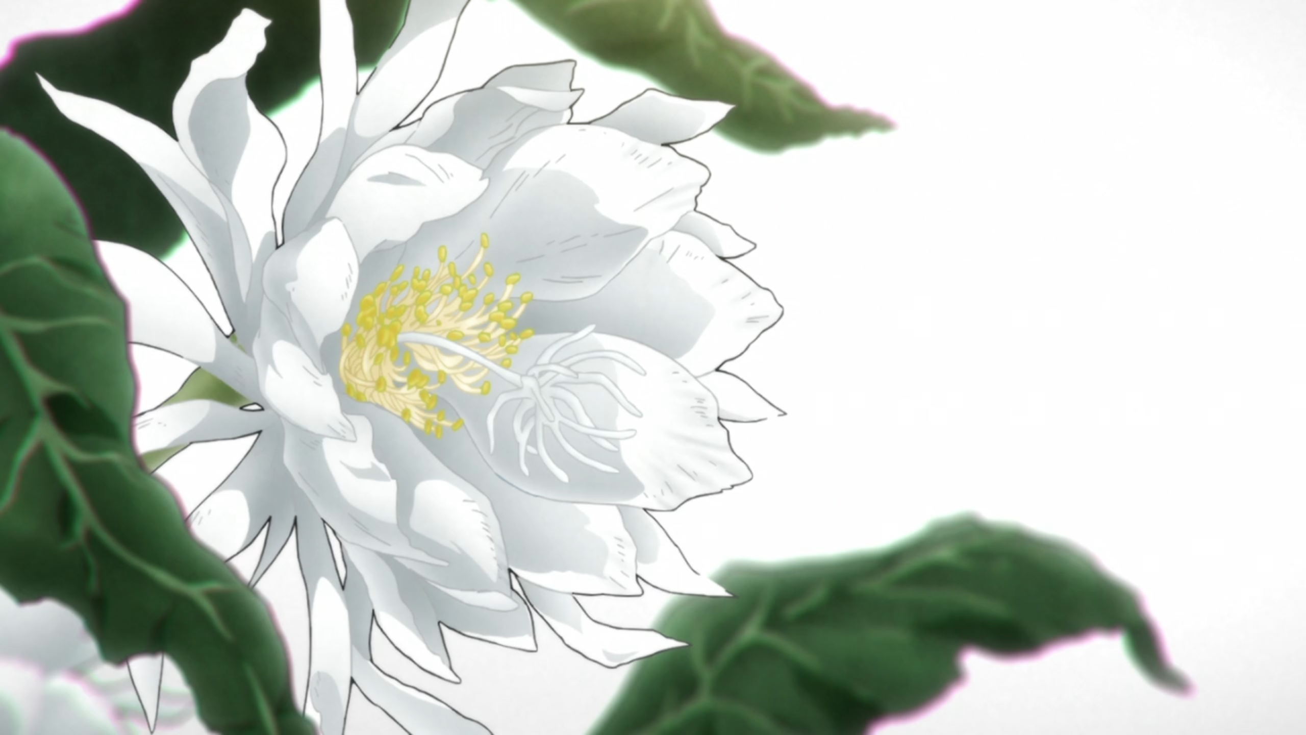 Screen_Shot_2016-06-08_at_17_55_59.png