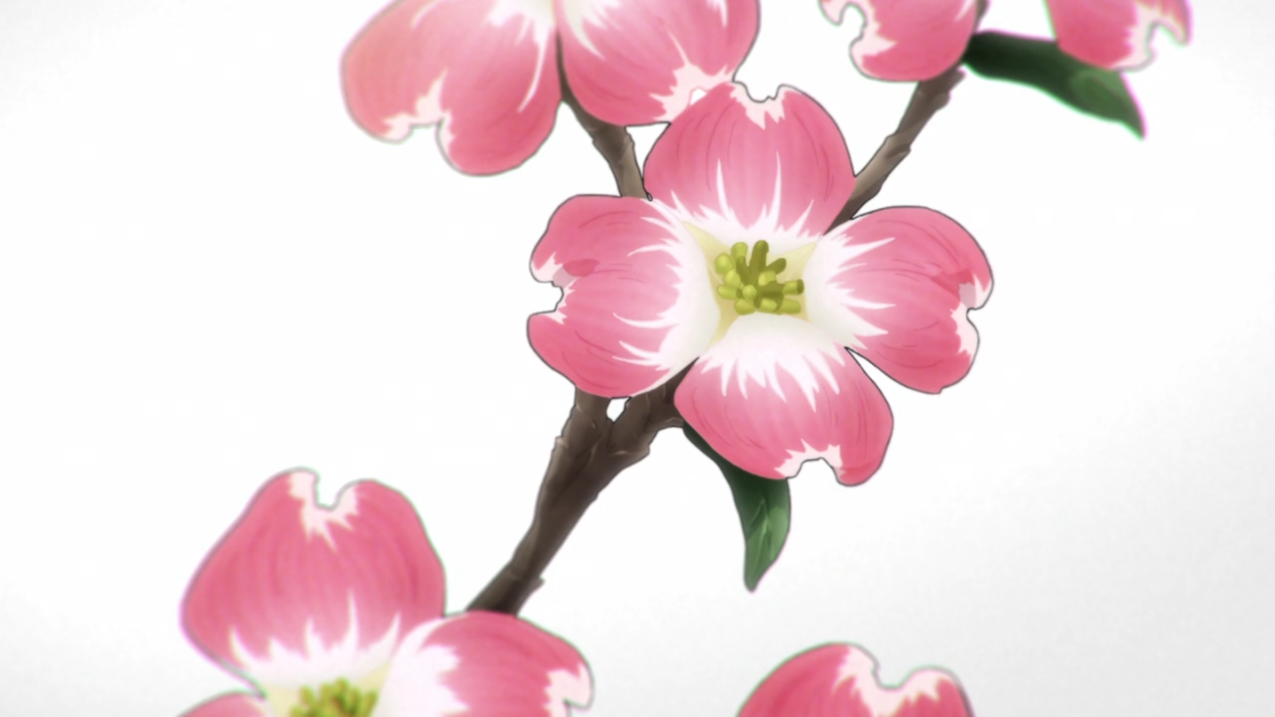 Screen_Shot_2016-06-08_at_17_56_37.png