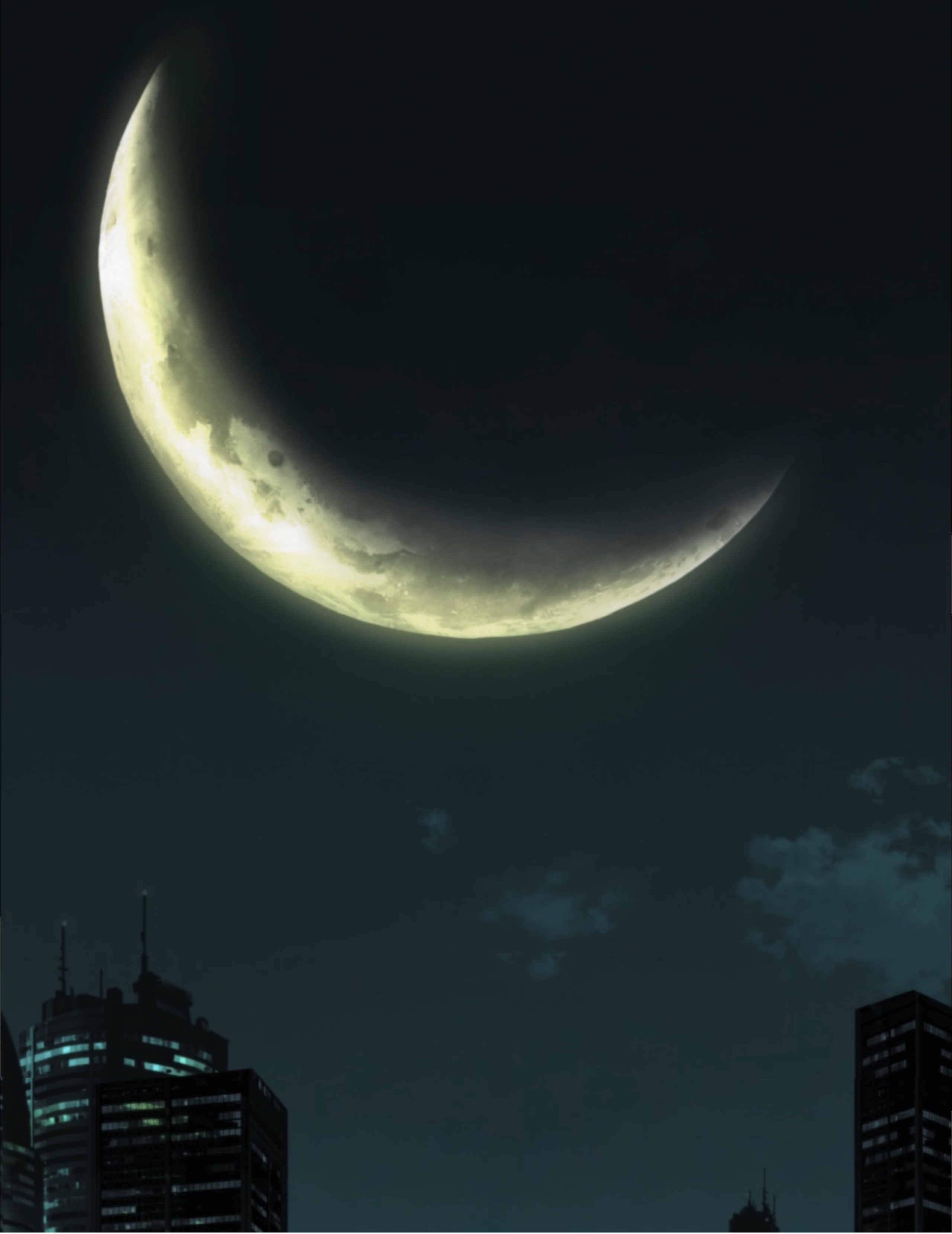 Untitled5.png