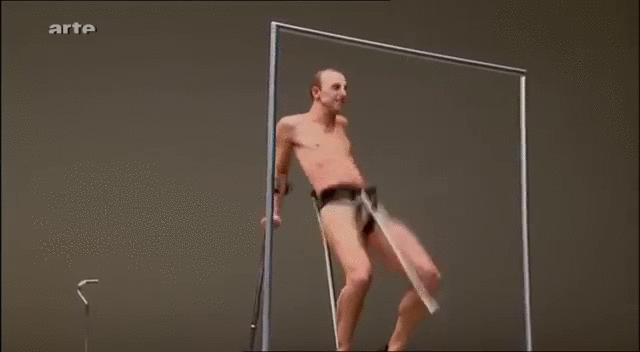 animated.gif