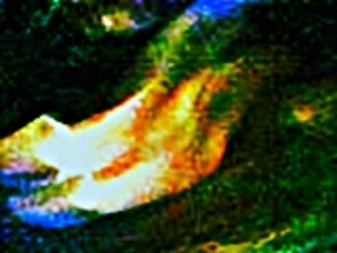 RIS.jpg