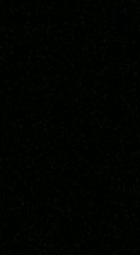 RIS.jpg