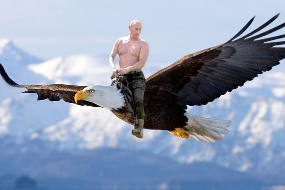 Majestic