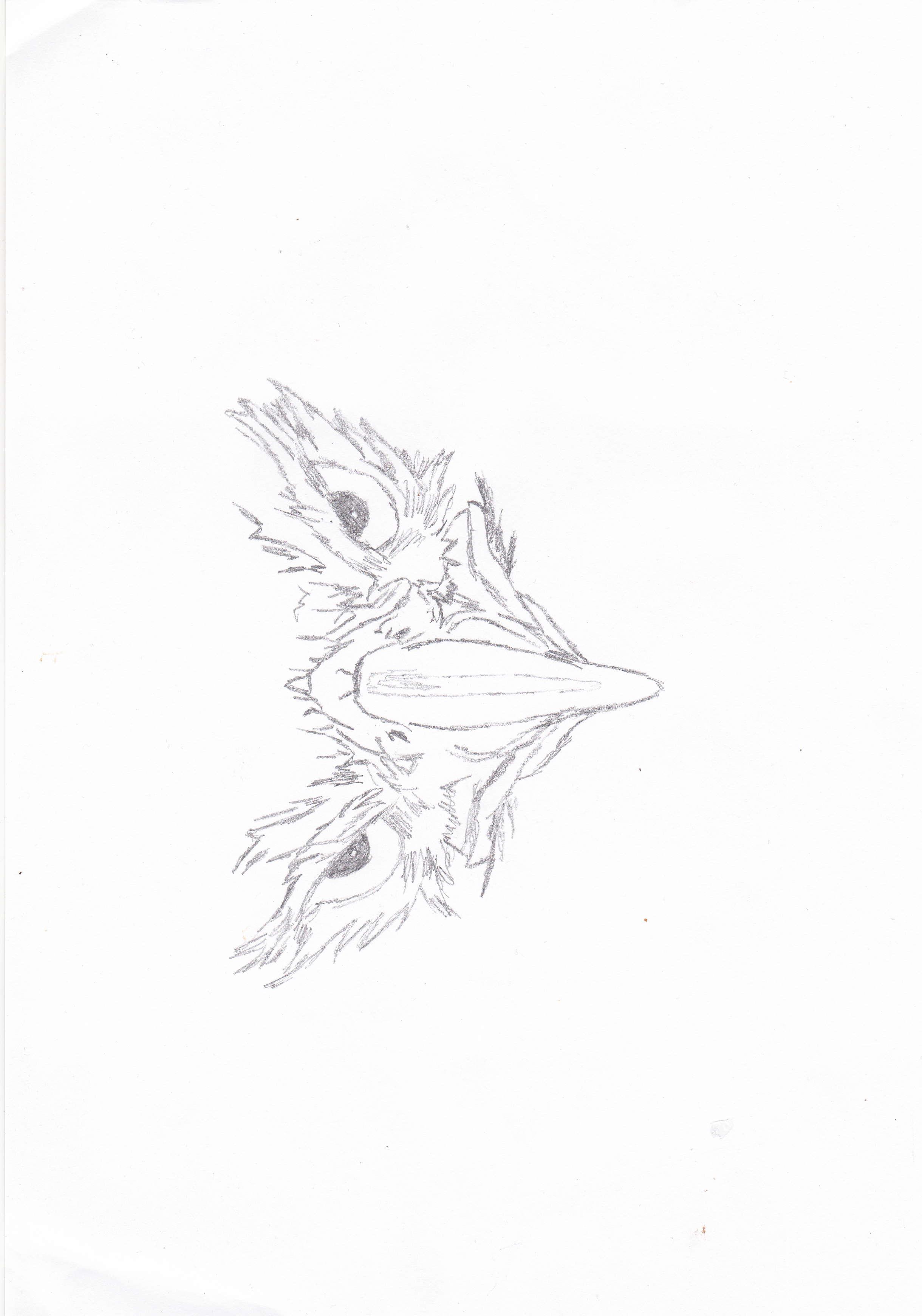 Phoenix rising