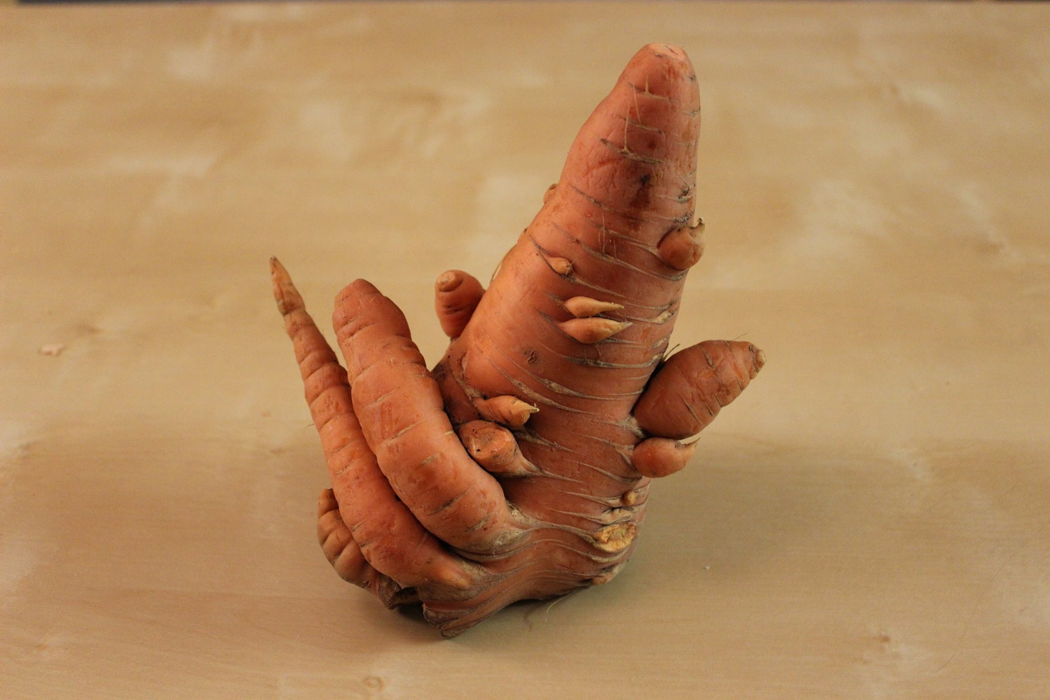 Carrot Cancer