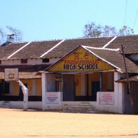 RIS.jpg