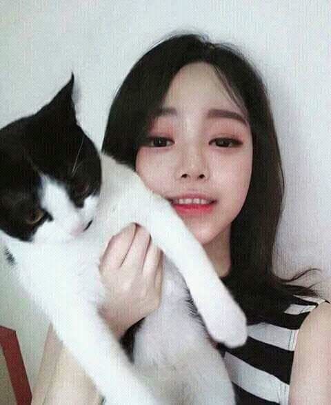 RIS.jpg