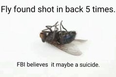 rsz_fly_try_again.jpg
