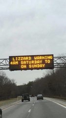 rsz_lizzard_warning.jpg
