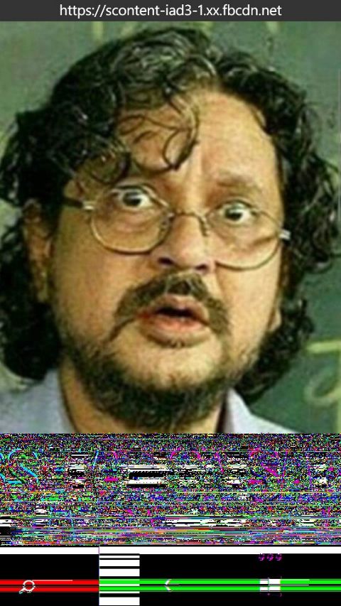 RIS.jpg