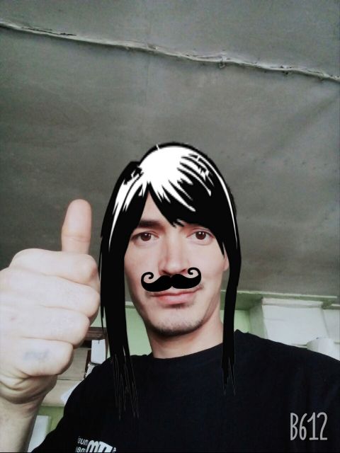 RIS.jpg