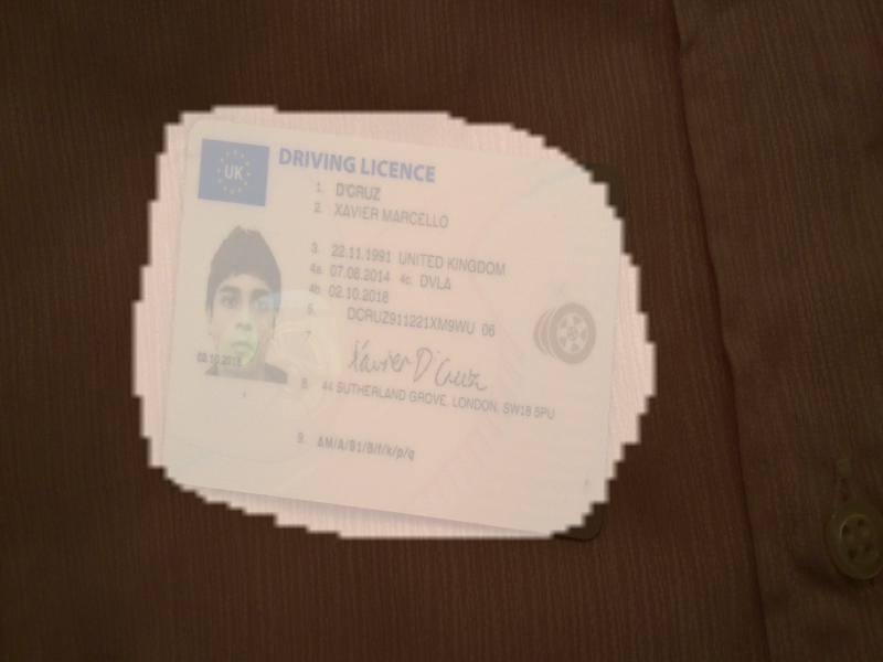 xav_license_prediction3.png
