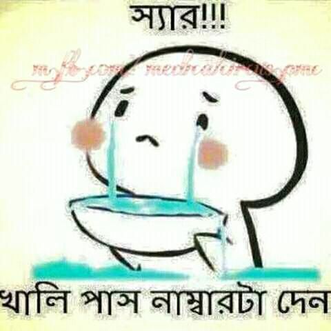 RIS.jpg
