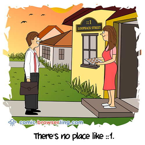 Homev6 -  Joke - Web Developer Comic