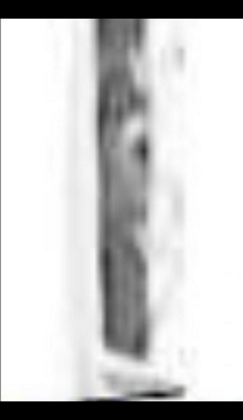 RIS.jpg