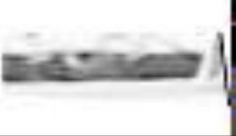RIS.jpg