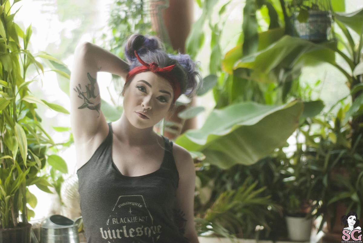 aurralee-honeybee-01.jpg