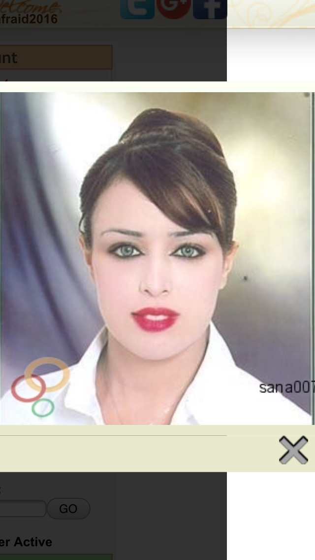 IMG_0941.PNG