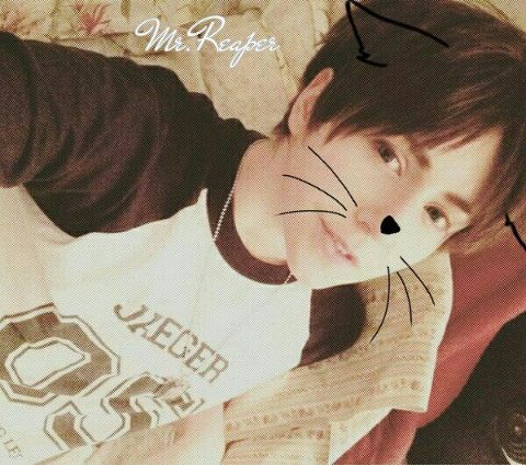 RIS.jpg