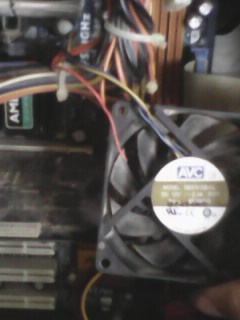 111IMG0341B.jpg