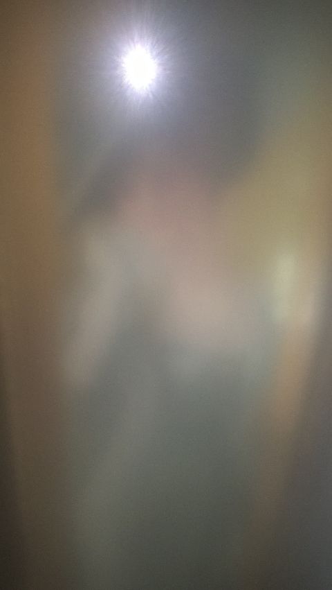 RIS.jpg
