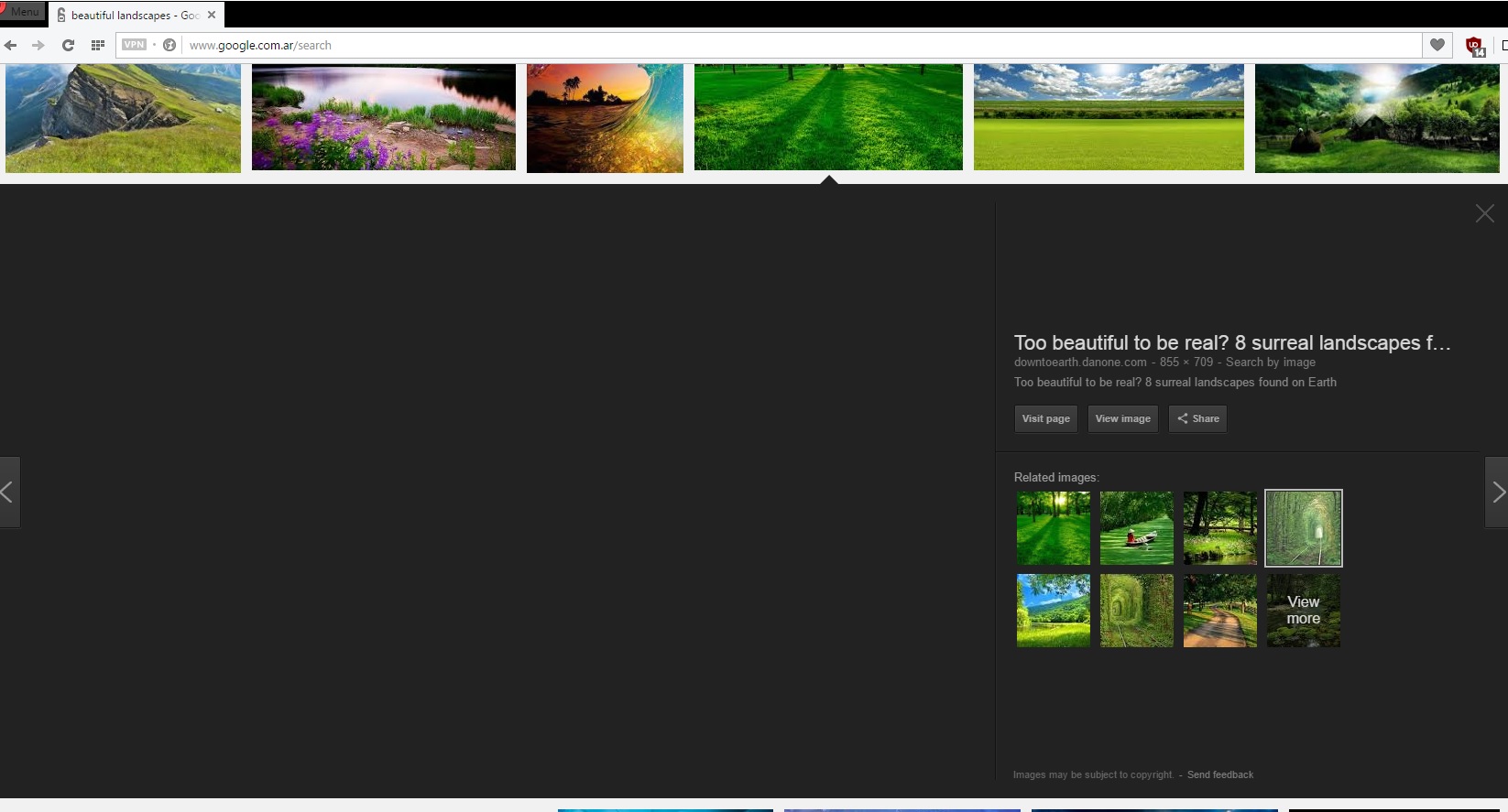 googleImages.jpg