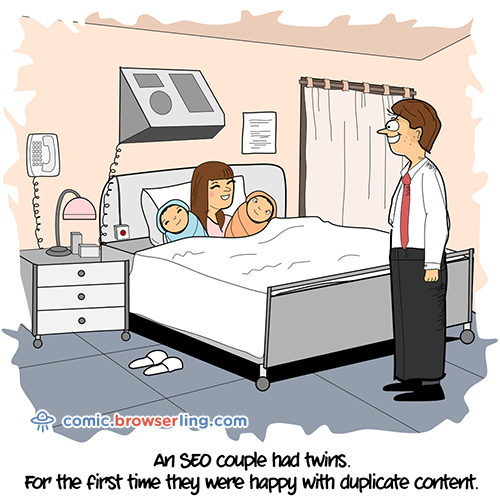 Twins Joke - Web Developer Comic