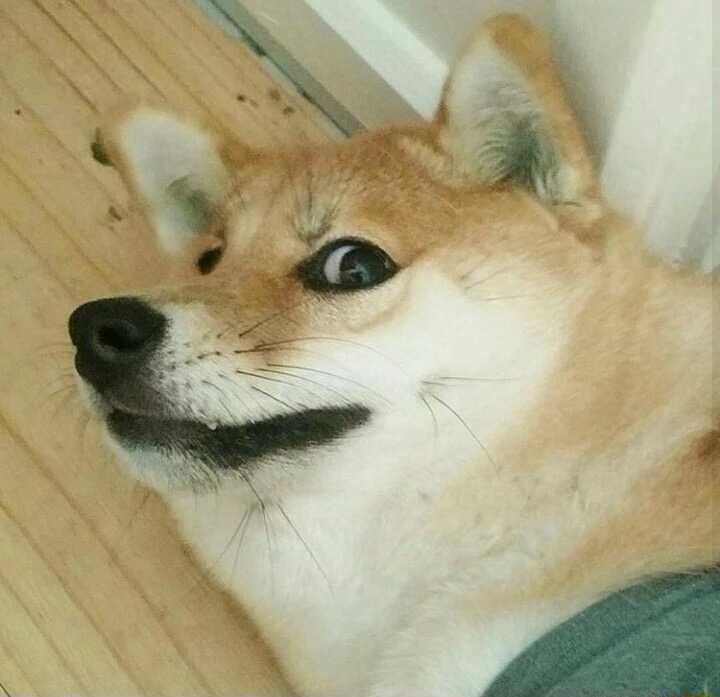 image.jpeg