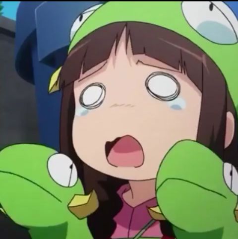 RIS.jpg