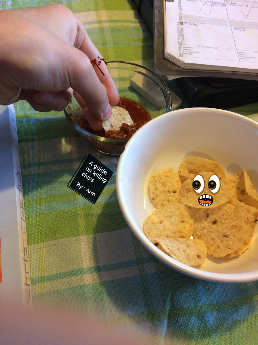 Chips.JPG