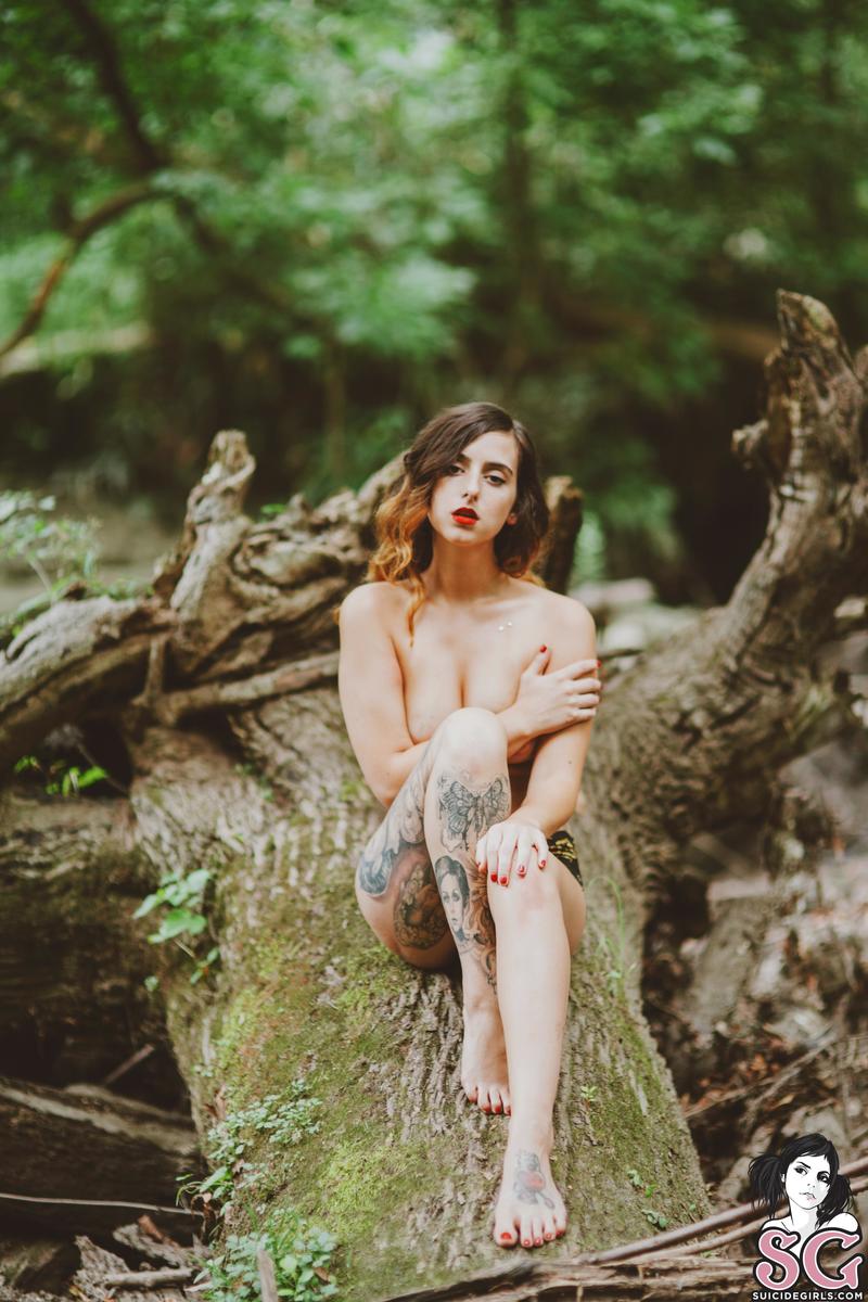 reed-fromforestsunknown-15.jpg