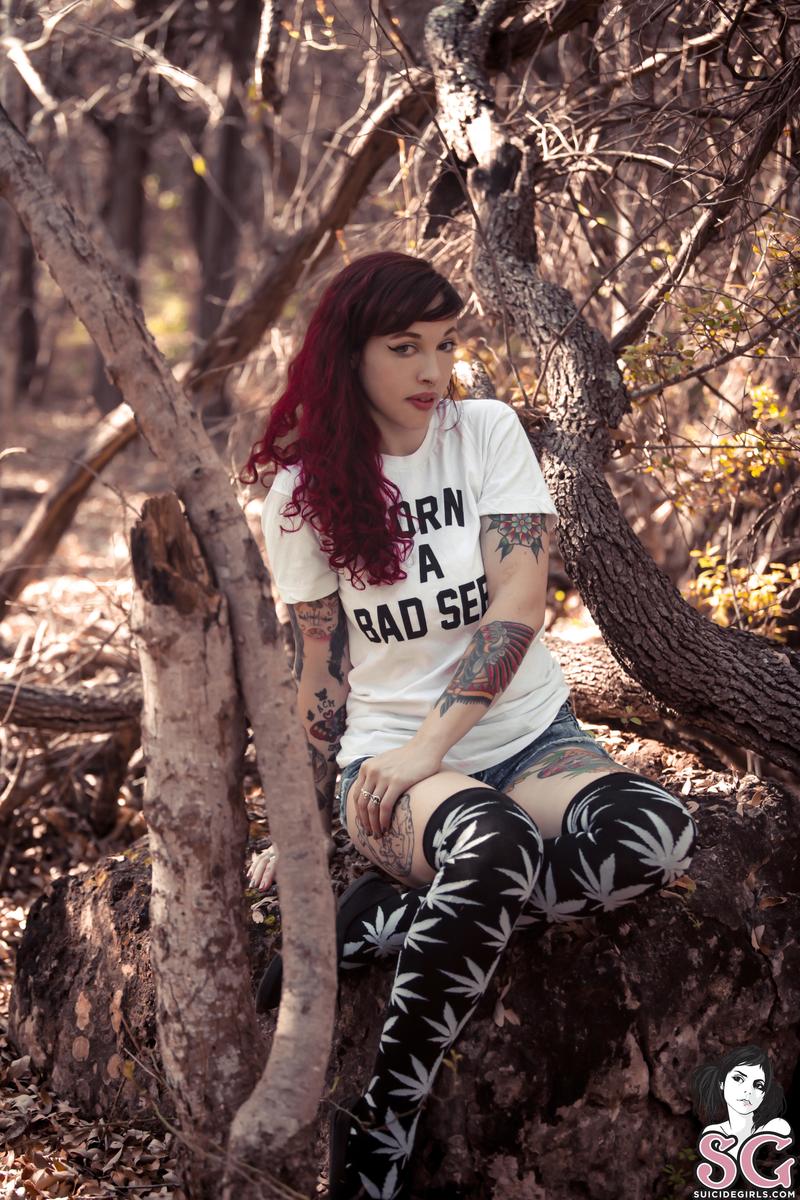 idony-badseed-01.jpg