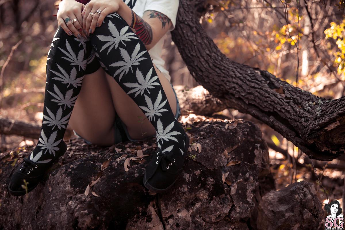 idony-badseed-05.jpg