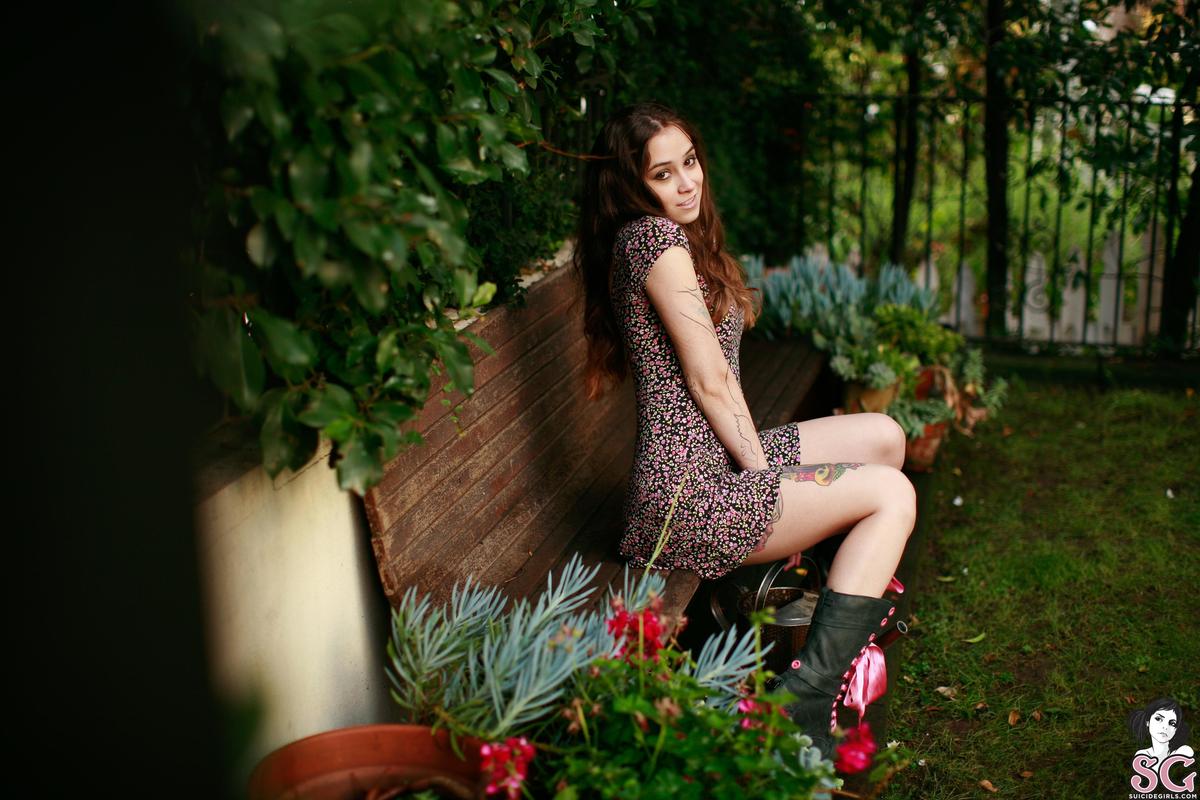 dimples-succulent-11.jpg