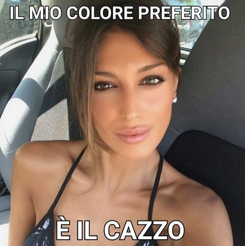 RIS.jpg