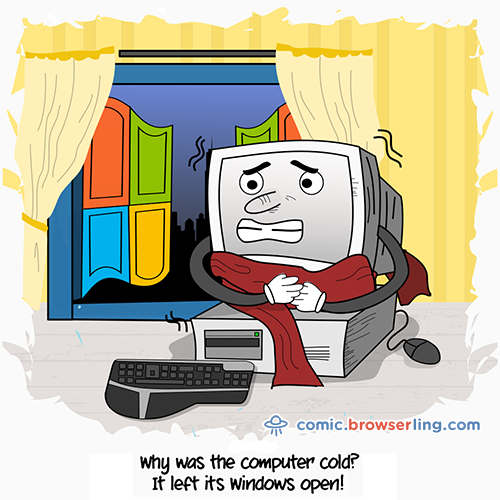 Coldness Joke - Web Developer Comic