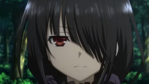 RIS.jpg