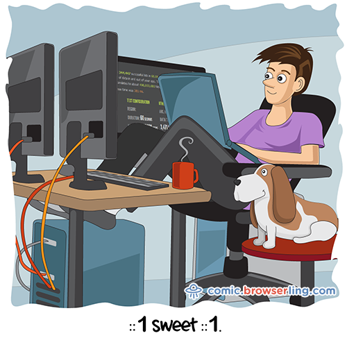 Home Sweet Home Joke - Web Developer Comic