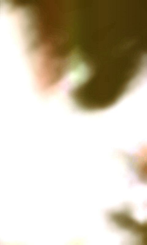 RIS.jpg