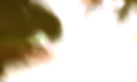 RIS.jpg