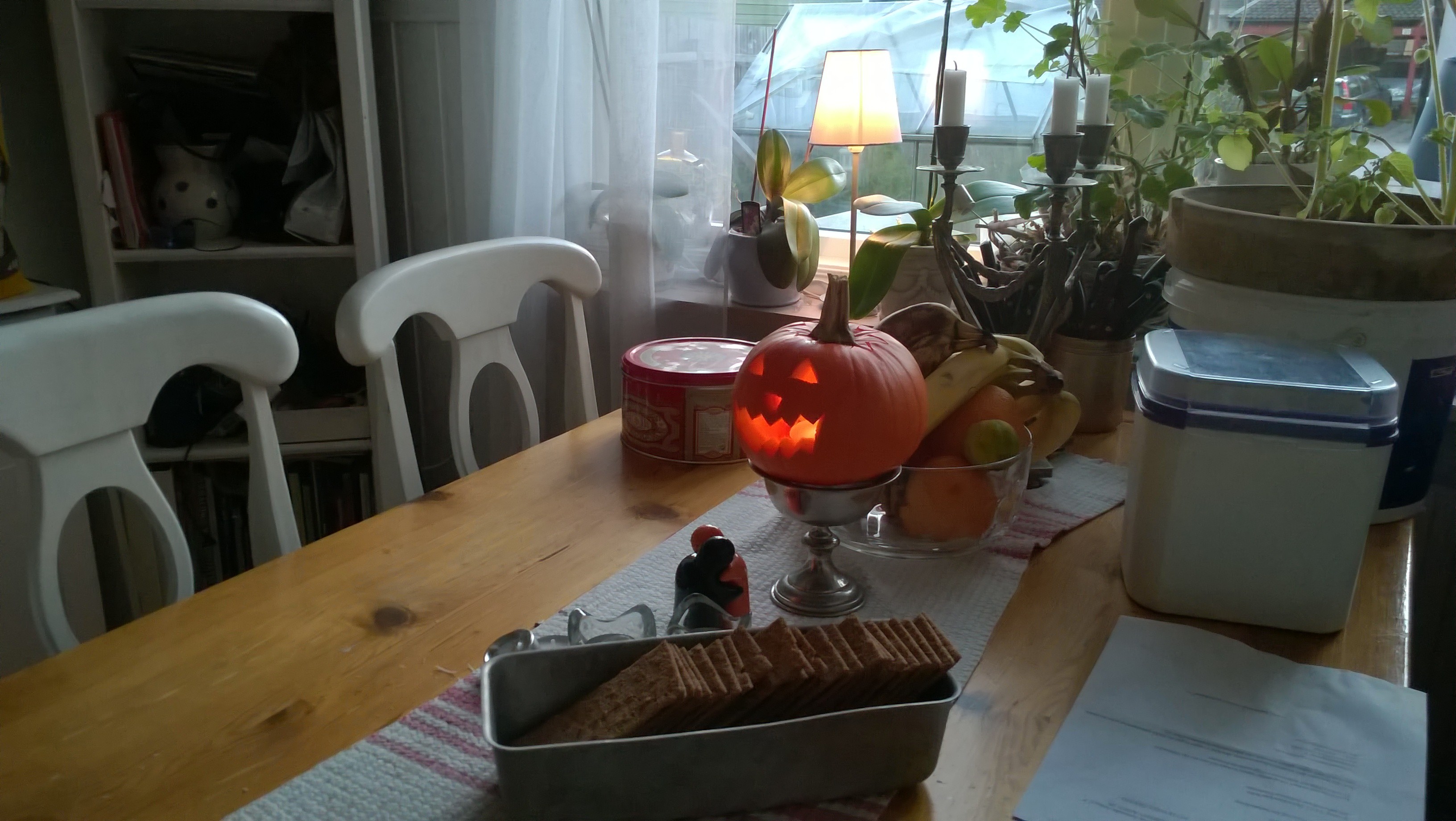 WP_20161029_001.jpg