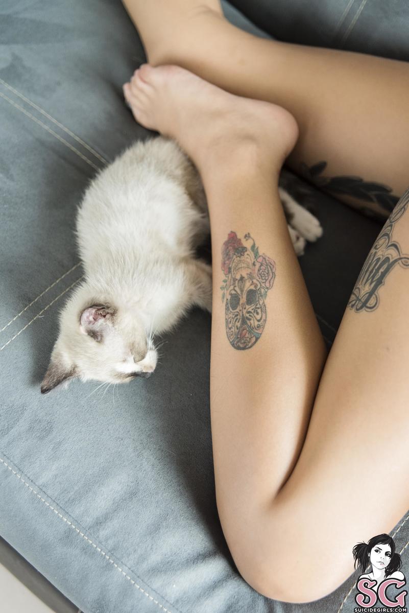alhy-youonlyneedweedandcats-27.jpg