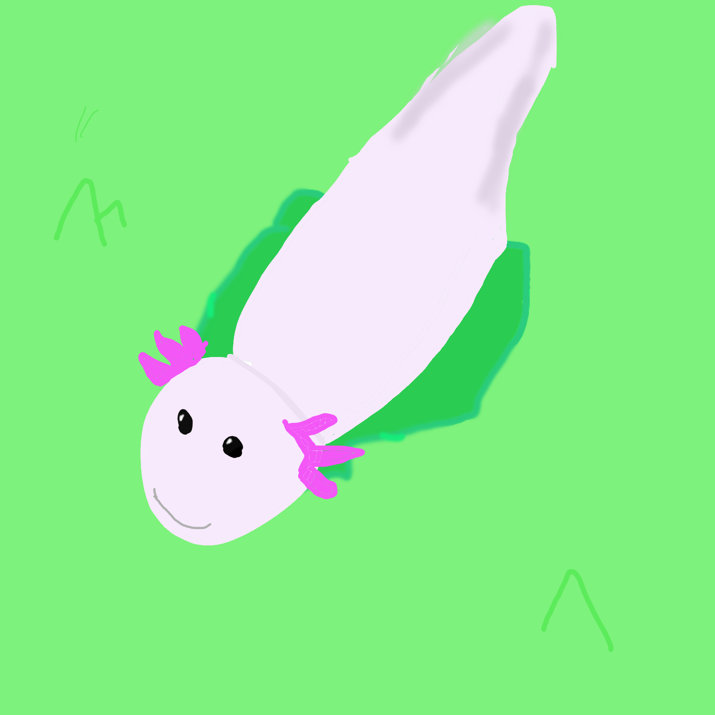 axolotl.png