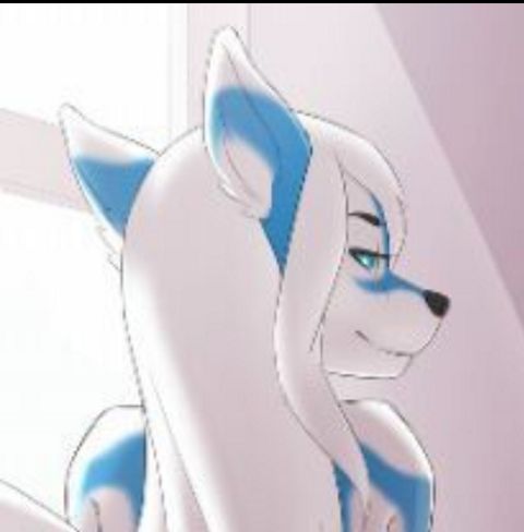 RIS.jpg