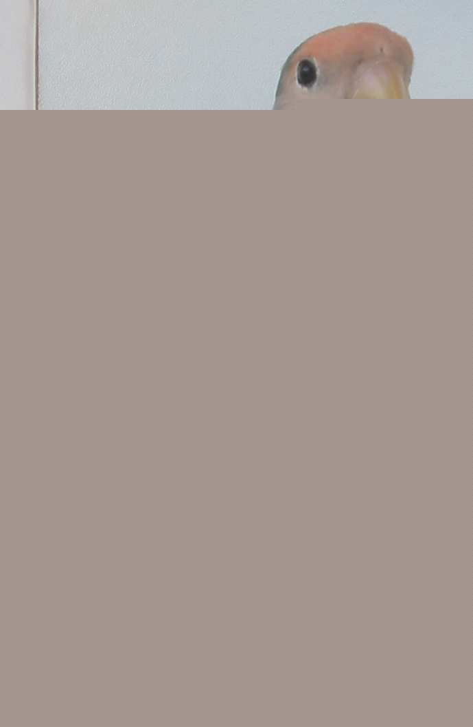 media-BlobType.bin