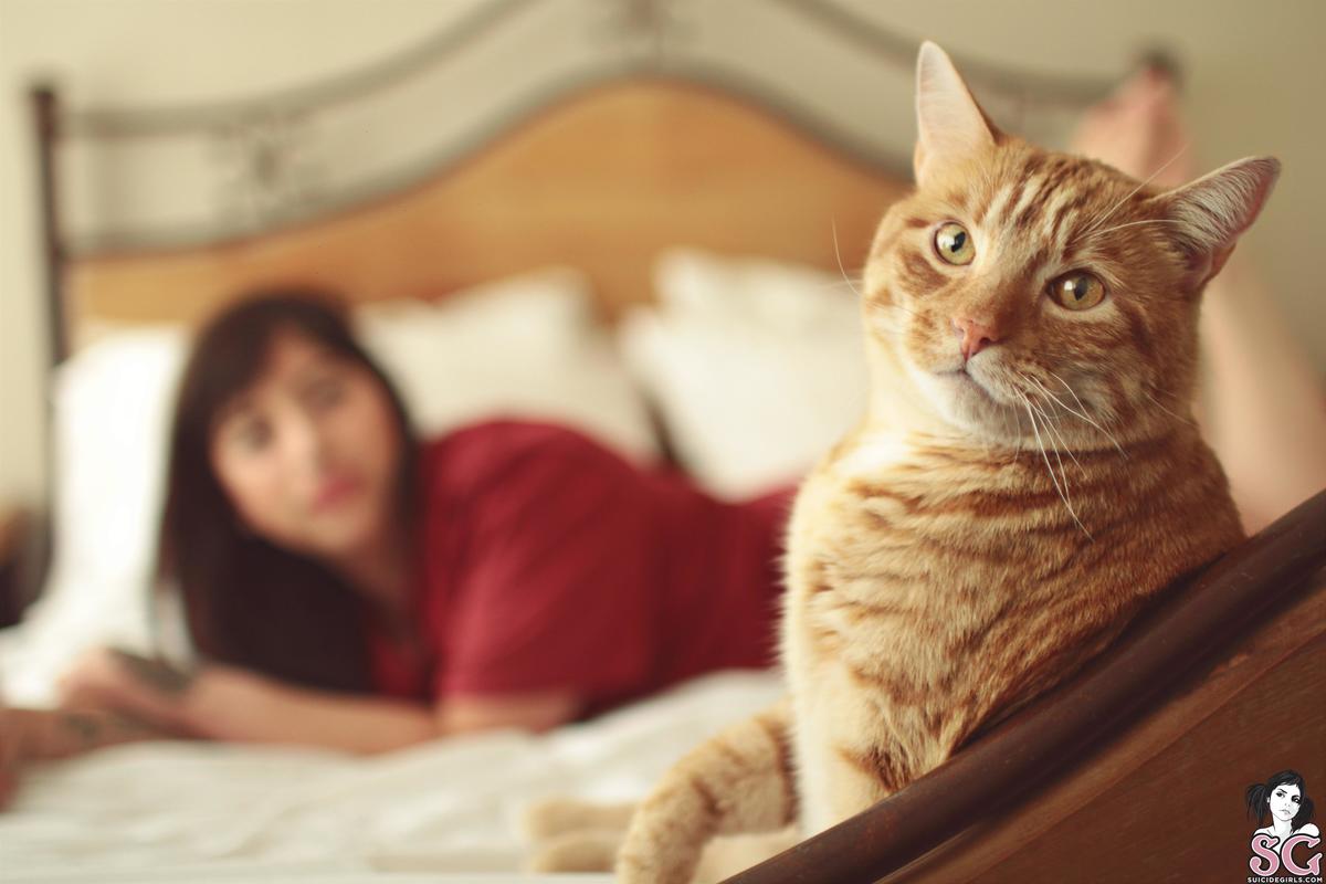 zoepyon-comeherekittykitty-05.jpg