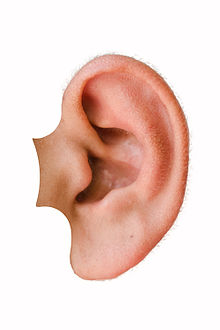 test.jpg