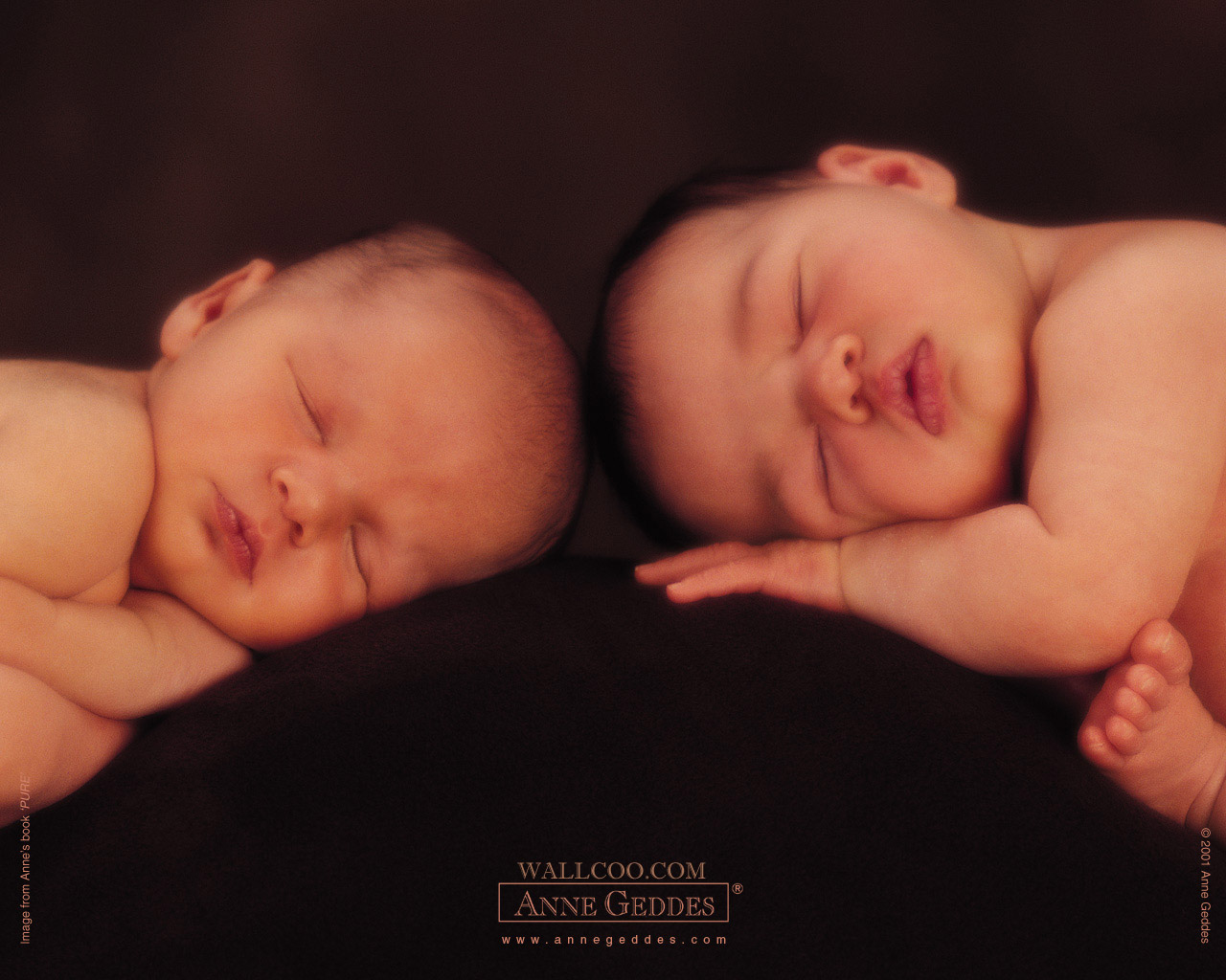 AnneGeddes_Wallpaper1280_202.jpg